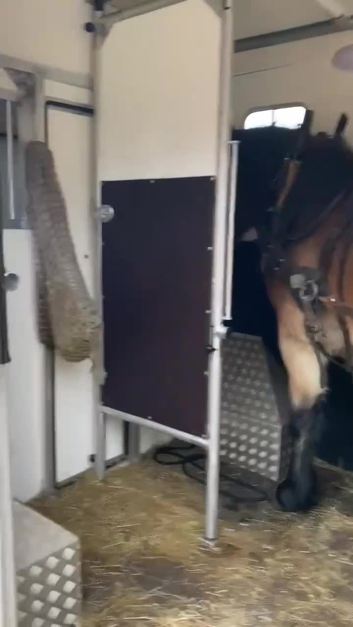 Hästlastbilar  fordon & transport till salu: Hästlastbil C1 - Video 1