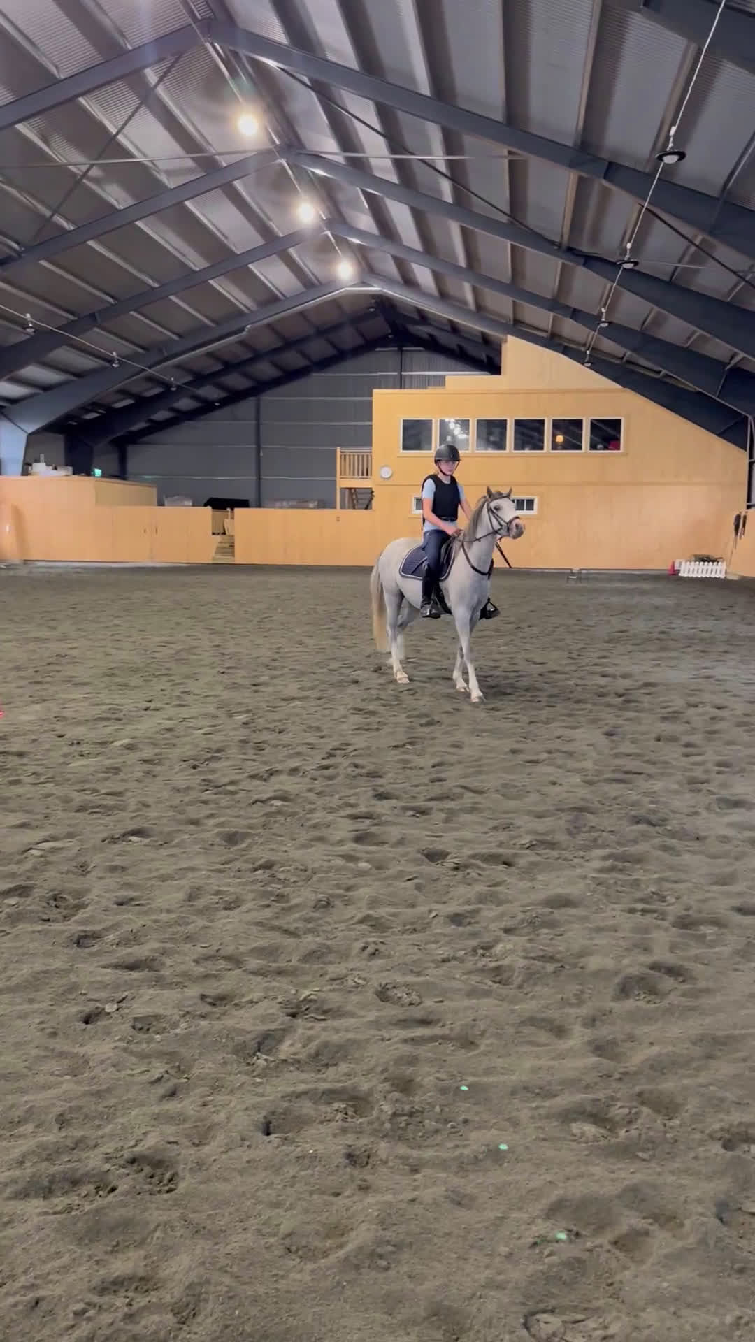 Hoppning hästar till salu: Ponny för framtiden, nedsatt pris! i Vara - Video 2