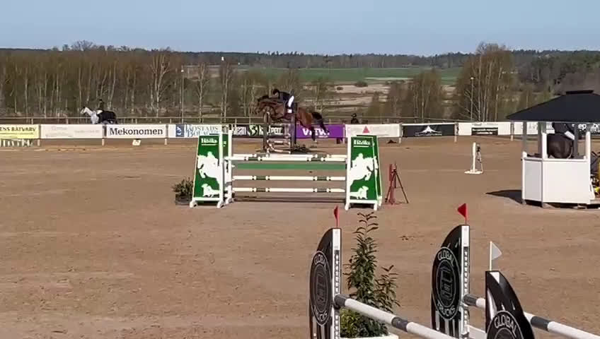 Hoppning hästar till salu: 6-årigt sto e. Indoctro i Kolmården - Video 1