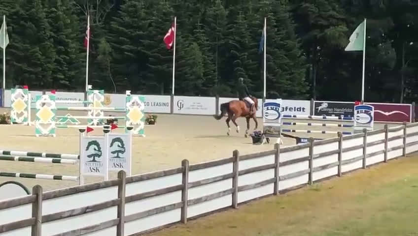 Hoppning hästar till salu: Supersnällt sto med mkt kapacitet i Lidköping - Video 1