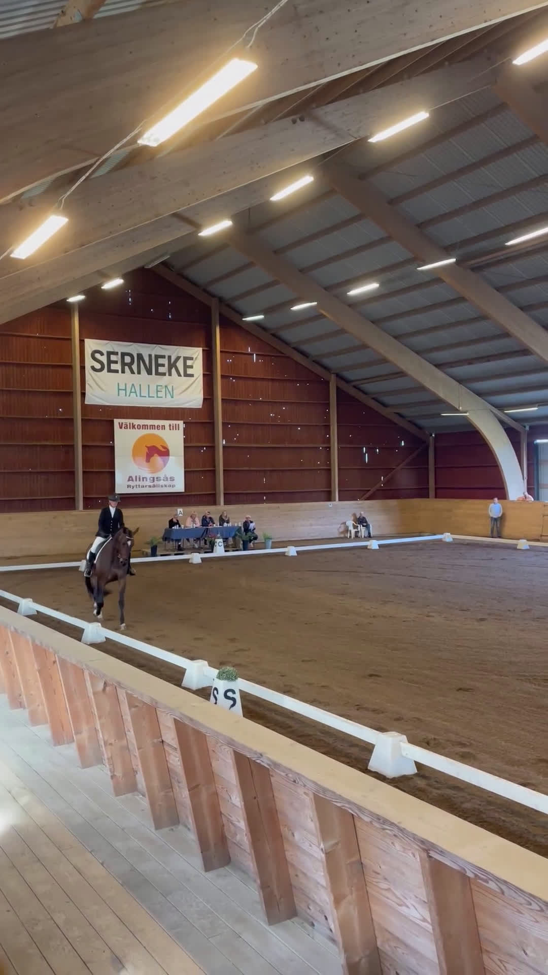 Dressyr hästar till salu: Lovande dressyrsto - Video 1