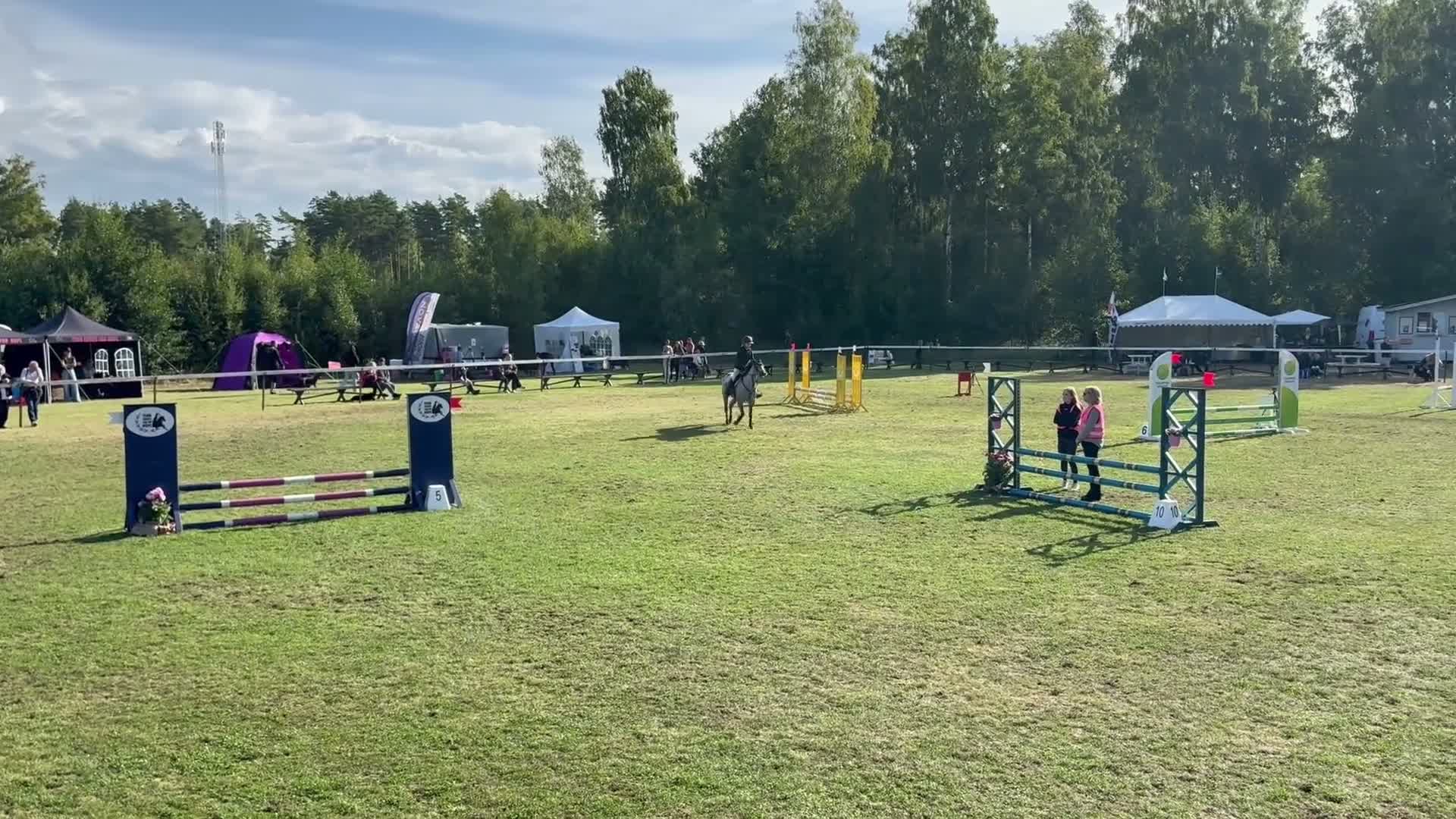 Hoppning hästar till salu: Superfin maxad B-ponny!  - Video 2