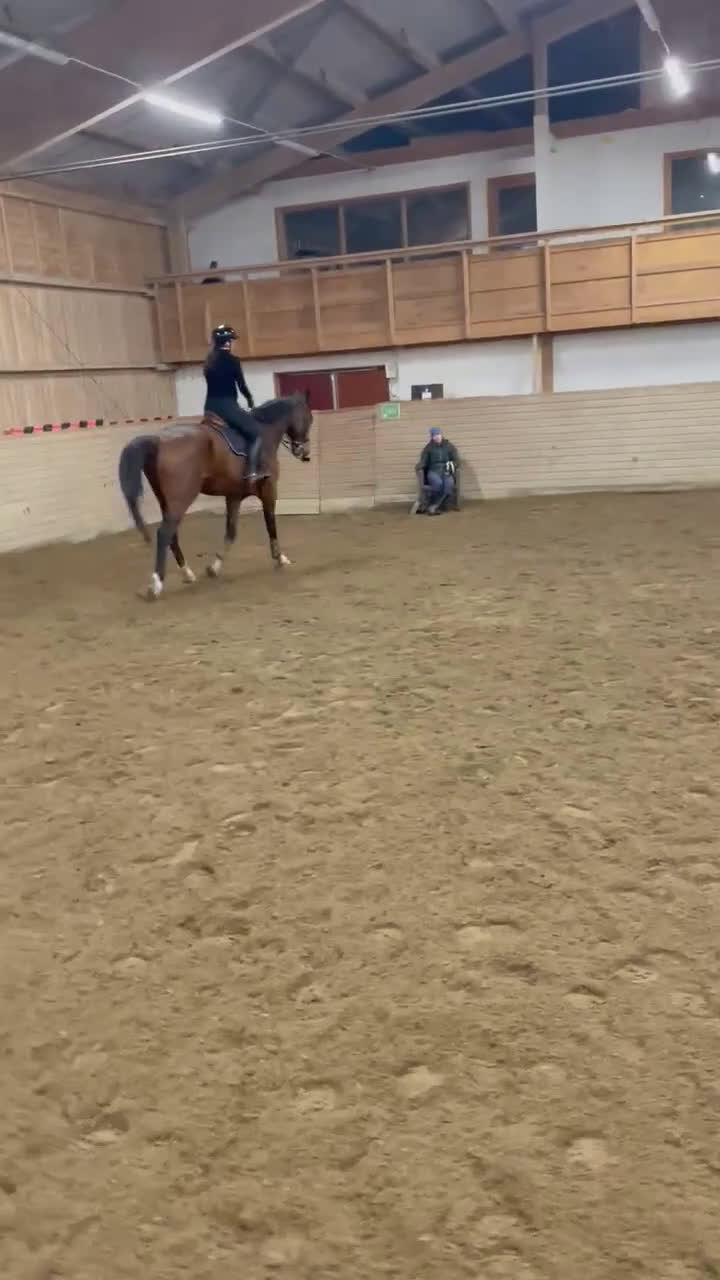 Hoppning hästar till salu: Stor valack till salu  i Kungsängen - Video 4