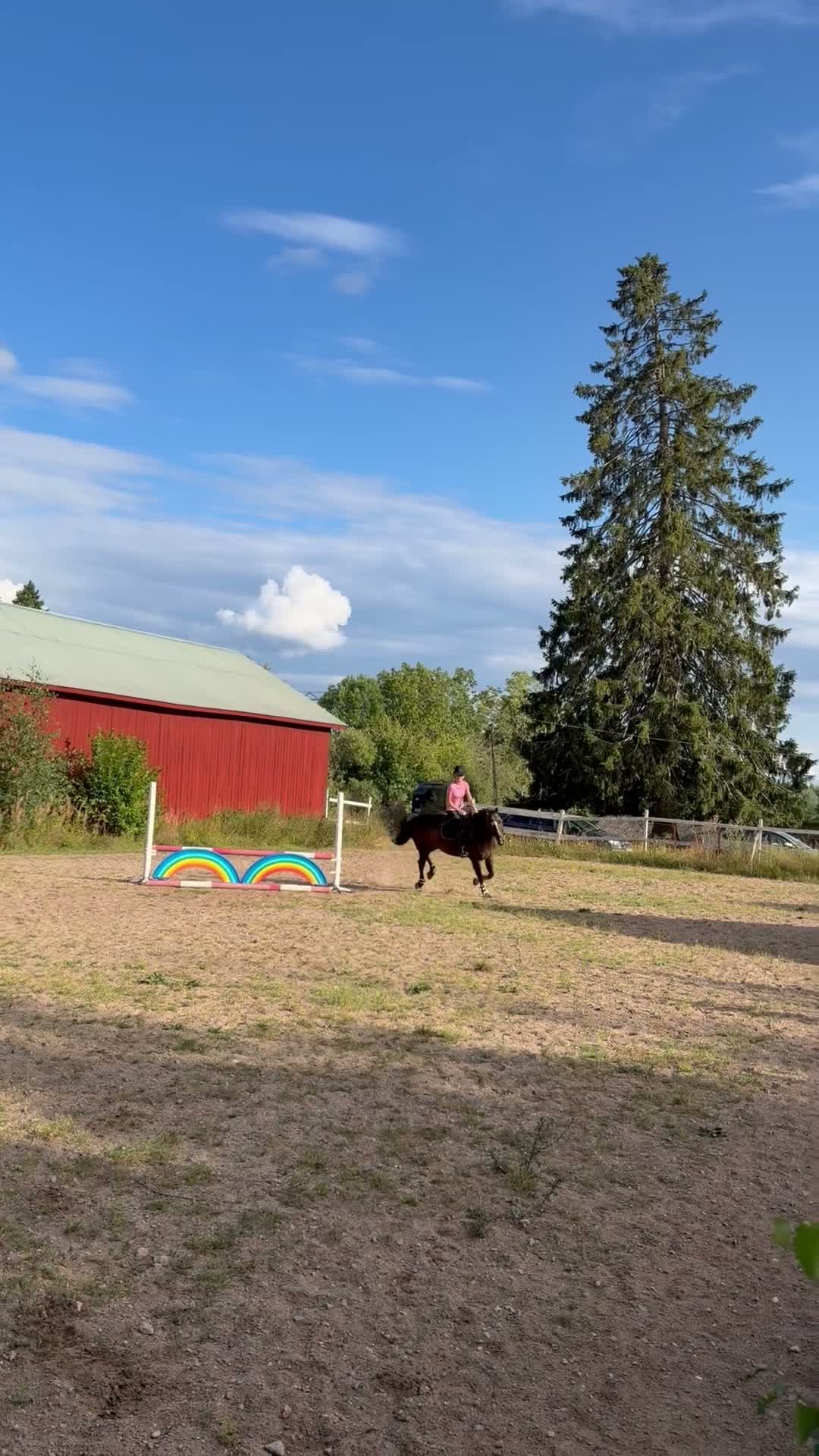 Allround hästar till salu: Lyxig Hobbyhäst/Perfekt Tanthäst - Video 1