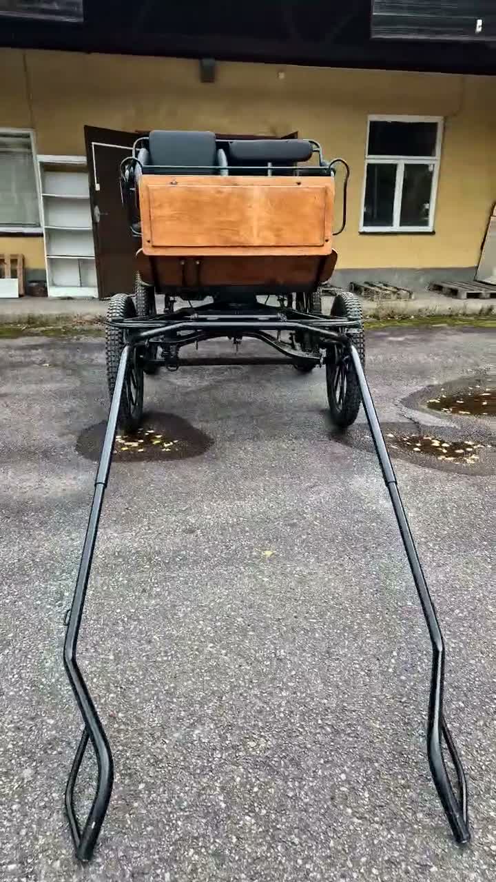 Körvagnar körning till salu: Wagonette - Video 1