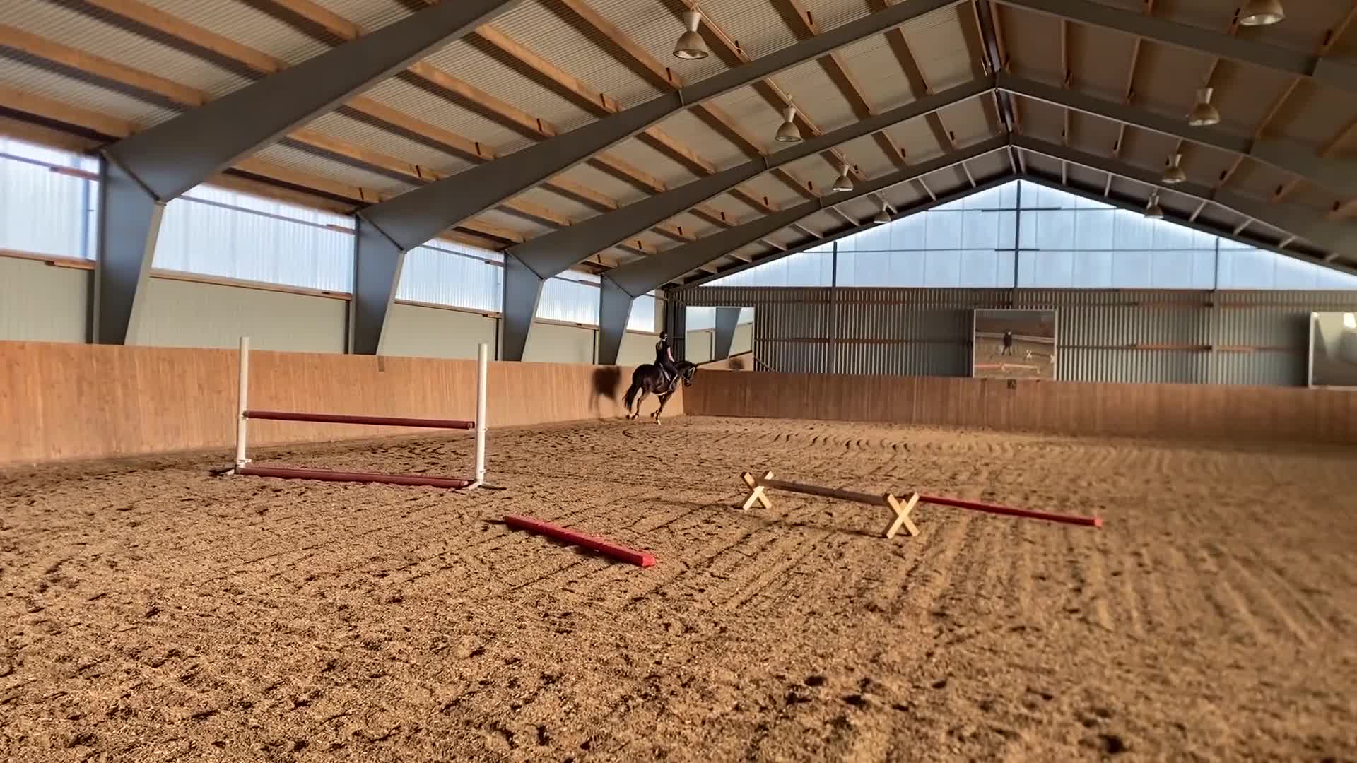 Allround hästar till salu: Lyxig hobbyhäst - Video 1