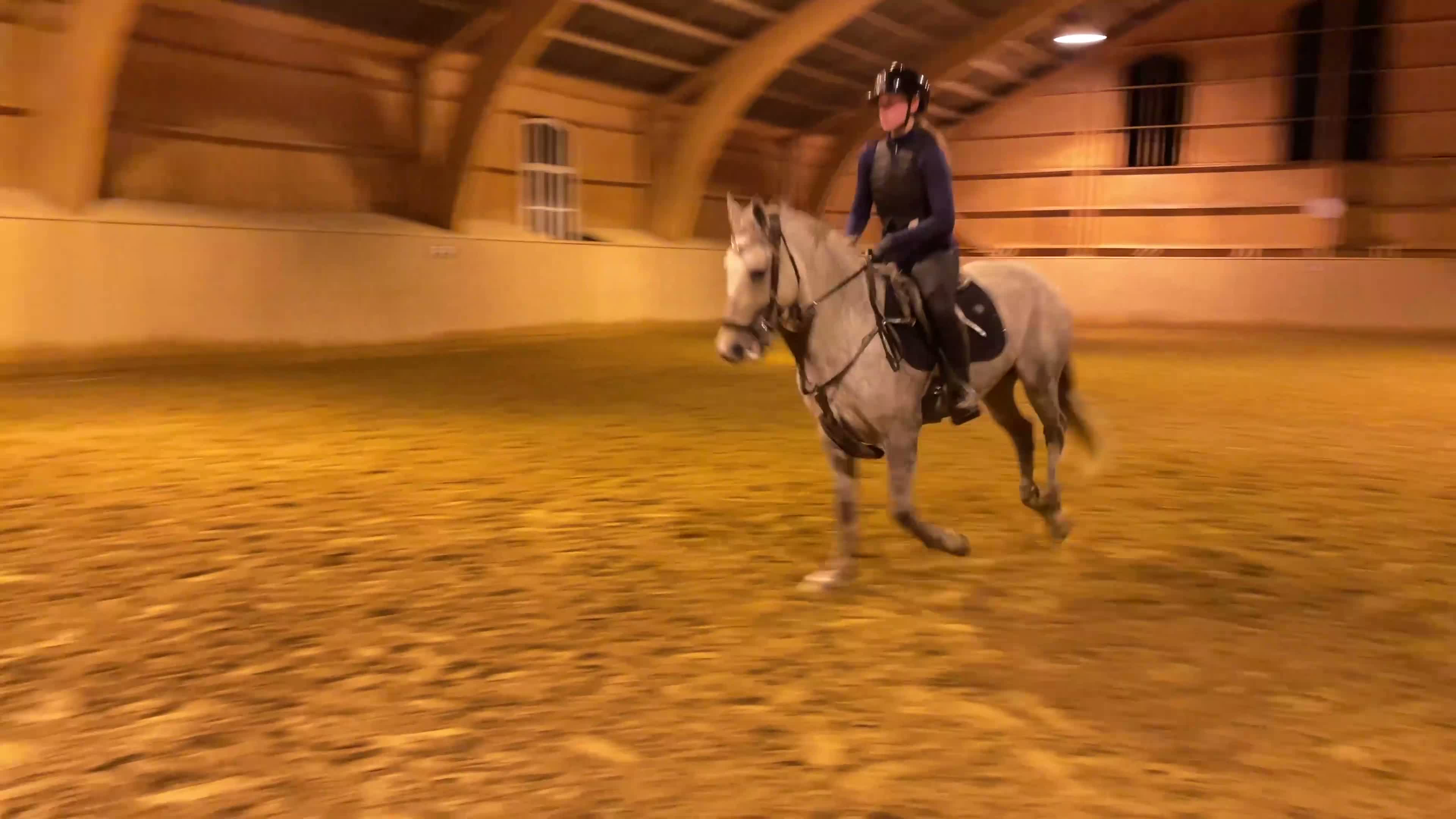 Allround hästar till salu: D-ponnysto född 2014 i Täby - Video 3