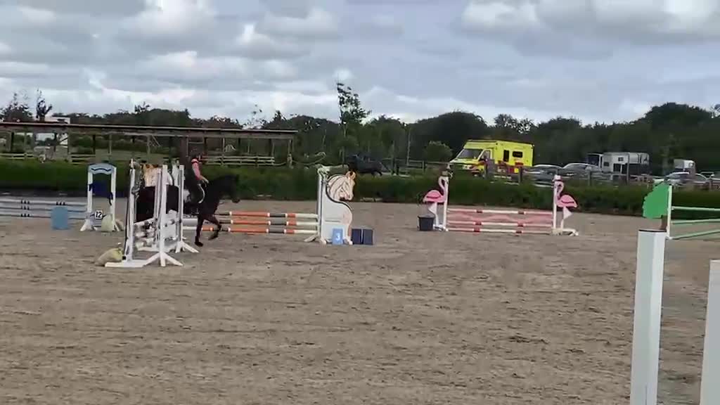 Hoppning hästar till salu: Fantastisk D Ponny Valack 🌟 - Video 2