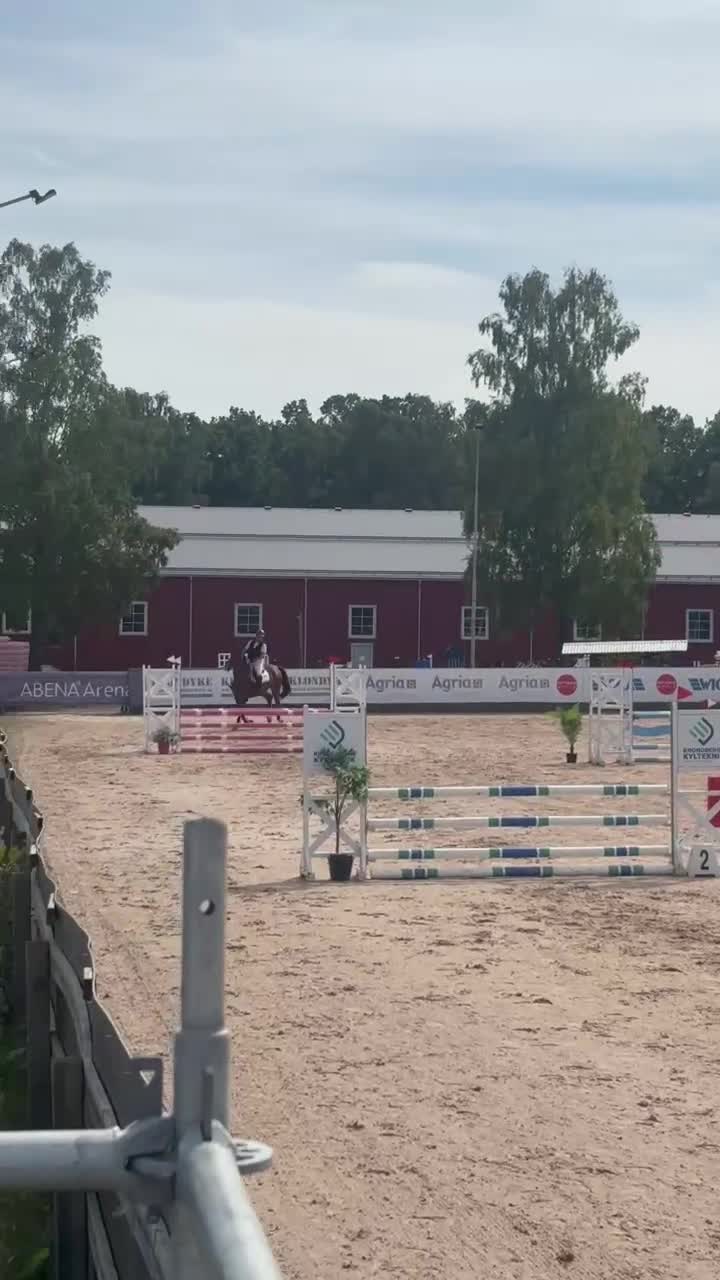 Hoppning hästar till salu: Trevlig val  - Video 2