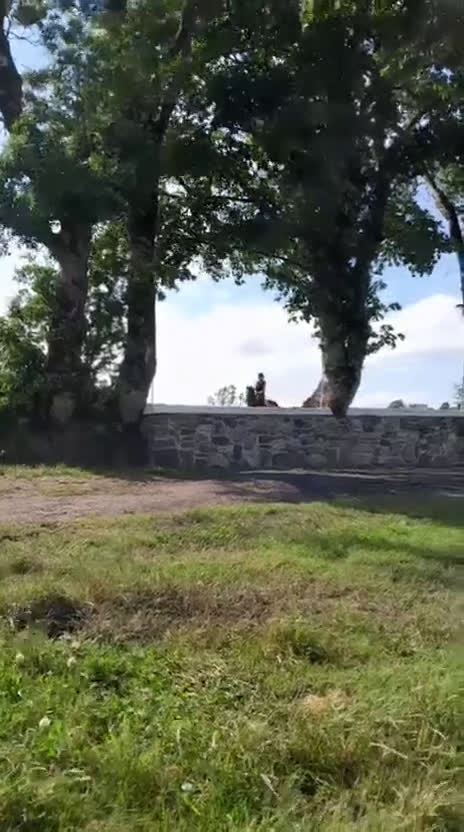 Hoppning hästar till salu: Welsh gelding 140cm i Ljungby - Video 1