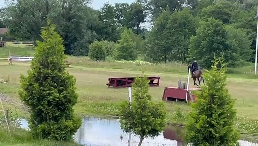 Dressyr hästar till salu:  Drömponnyn  Lärömästare med Tysk Ridponny stam - Video 2