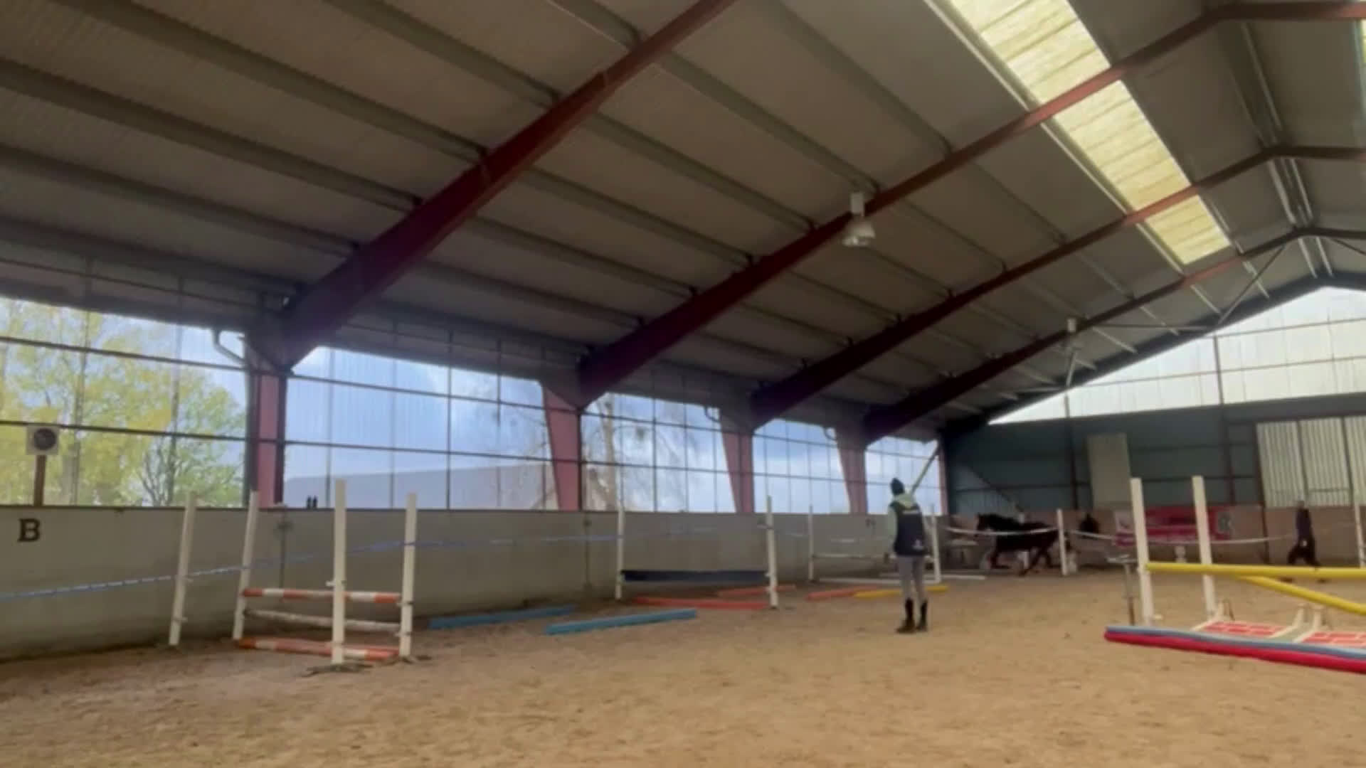 Hoppning hästar till salu: Spirited Away i Blentarp - Video 3