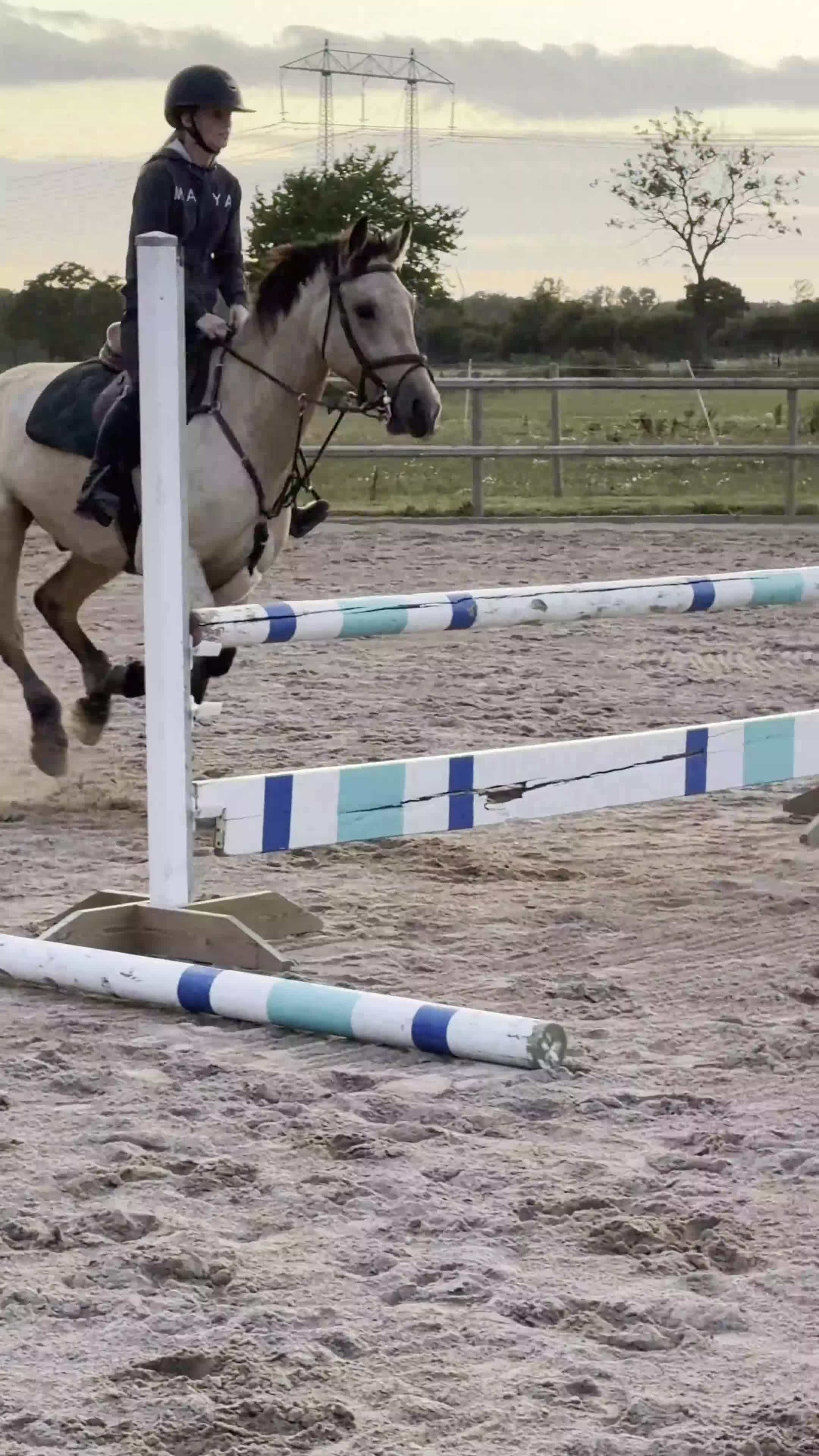 Hoppning hästar till salu: Lovande ungponny✨  - Video 2