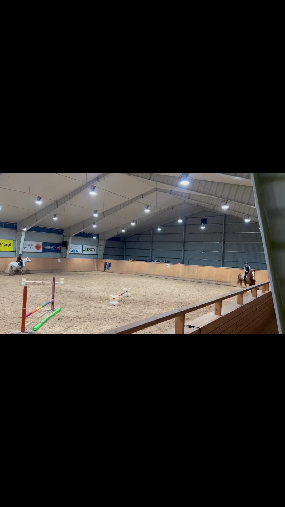 Allround hästar till salu: Trygg och trevlig allroundhäst med potential - Video 1