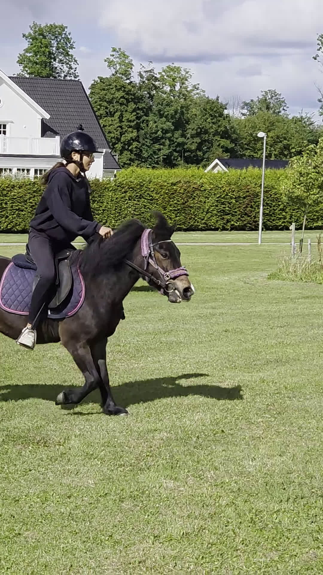 Allround hästar till salu: Supersnäll barnponny i Vintrosa - Video 1