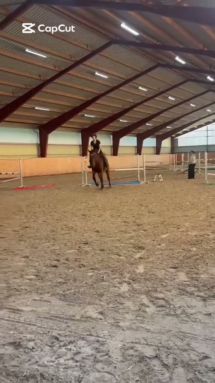 Allround hästar till salu: Fin allround häst - Video 1