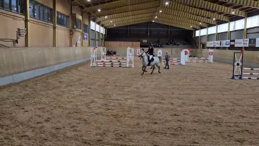 Hoppning hästar till salu: Kvalitets D ponny oavsett disciplin! i Onslunda - Video 1