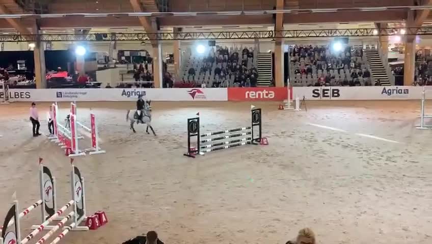 Hoppning hästar till salu: Hoppglad C ponny - Video 1