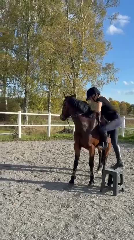 Allround hästar till salu: Underbara Selma D-ponny sto hopp/allround  - Video 1
