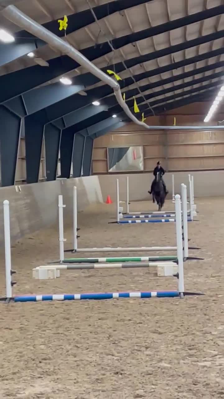  medryttarhäst sökes: Medryttare sökes  i Värends Nöbbele - Video 1