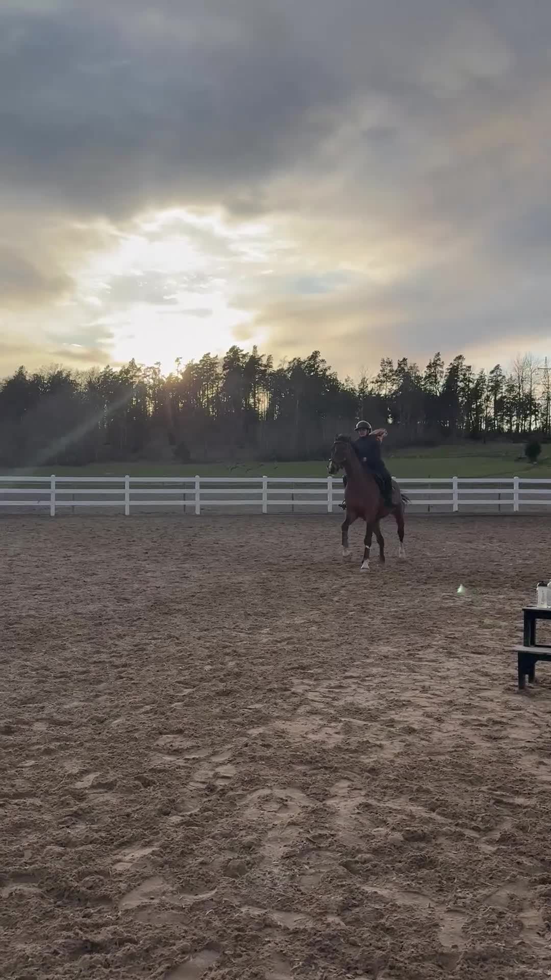  medryttarhäst sökes: Medryttarhäst sökes i Nacka - Video 1
