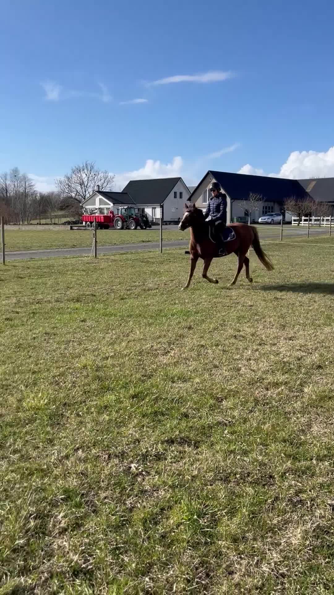 Allround hästar till salu: Supertrevlig c-ponny - Video 2