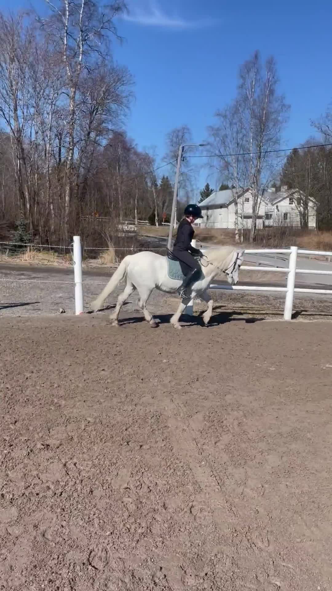 Allround hästar till salu: Mycket Vacker B ponny ! i Sundsvall - Video 1