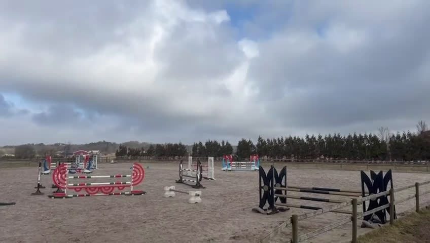 Hoppning hästar till salu: Trevlig val e hiphop med rutin 130 - Video 1