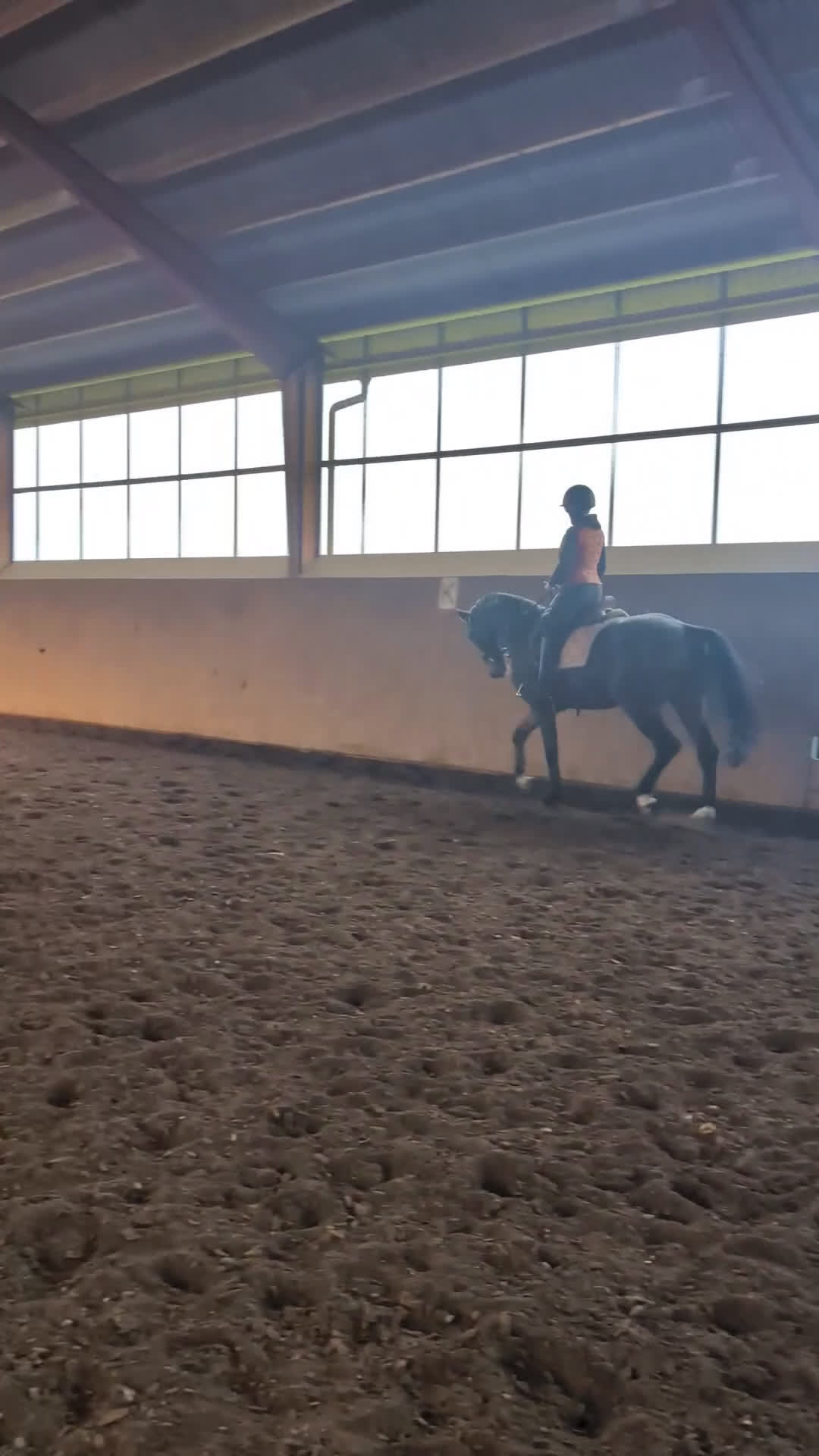 Dressyr hästar till salu: Dressyr val som hoppar bra 🌸 fälttävlan? i Tomelilla - Video 3