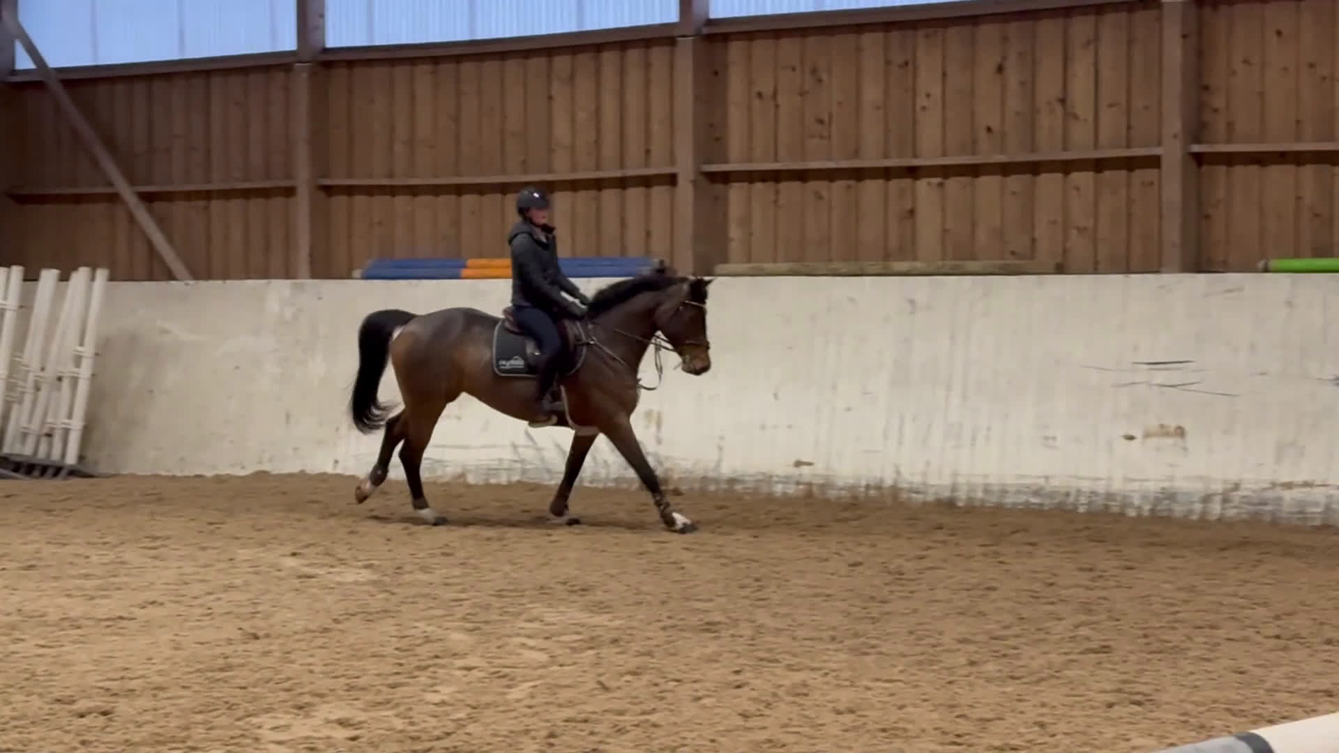 Hoppning hästar till salu: Två superfina hoppston i Sandhem - Video 2