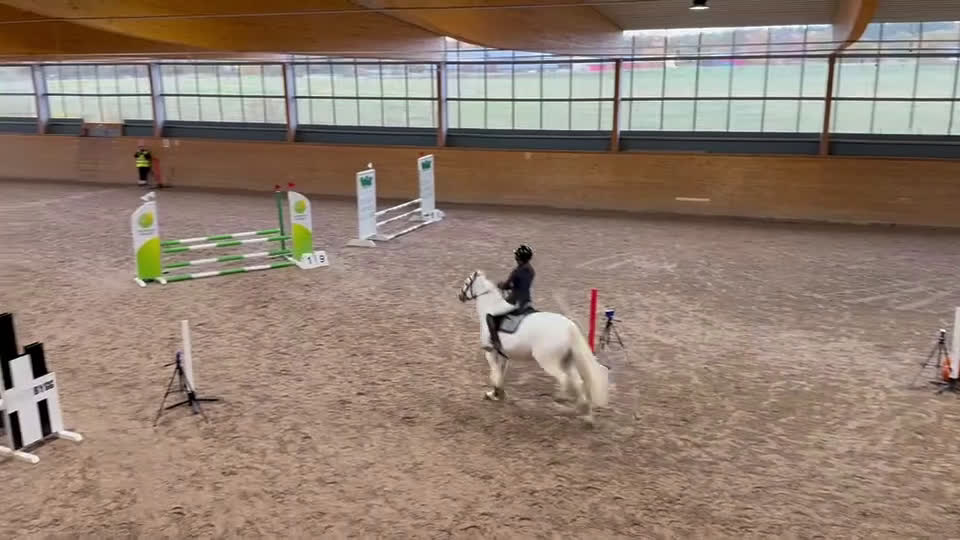 Hoppning hästar till salu: Sockersöt hopponny i Degerhamn - Video 2