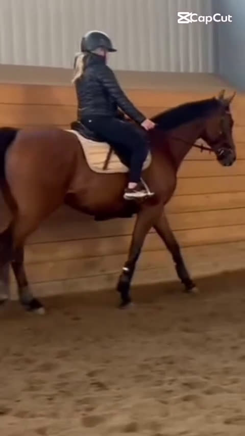 Allround hästar sökes: Söker en bästa vän<3 i Norrtälje - Video 1