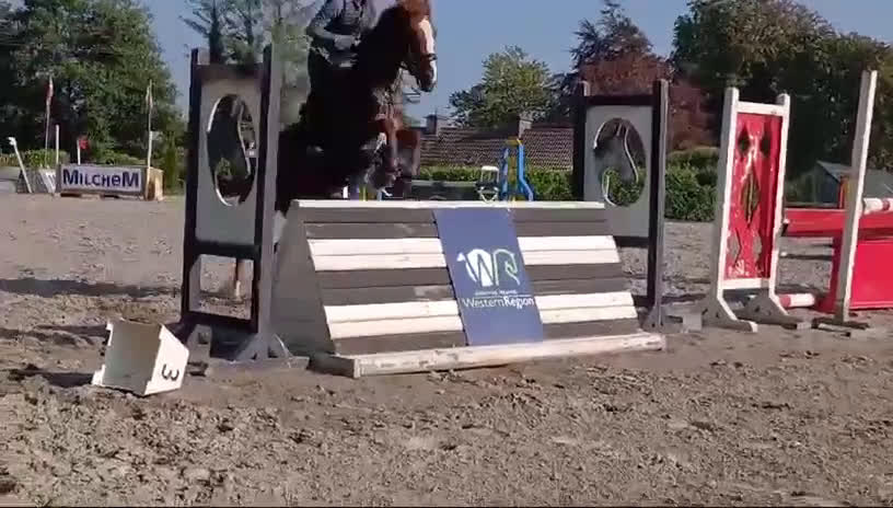 Hoppning hästar till salu: Helt fantastisk D ponny 🌸 - Video 3