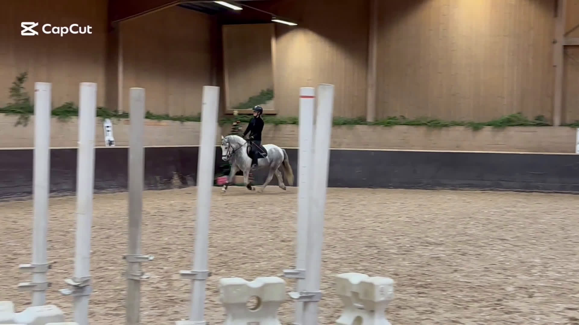 Allround hästar till salu: Fin B-ponny till valfri gren i Hofors - Video 1