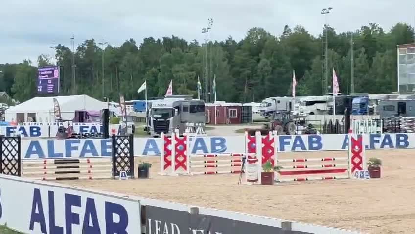 Hoppning hästar till salu: Super ponny i Björköby - Video 1