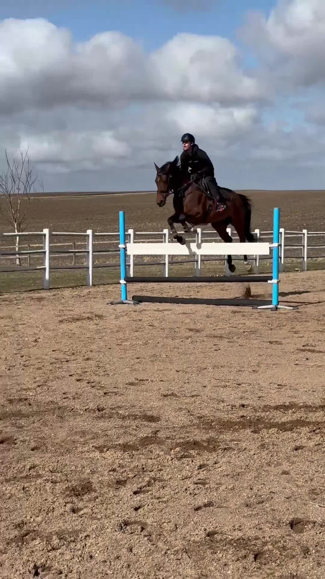 Hoppning hästar till salu: Spektakulärt sto med ett hjärta av guld!!💕🌟 - Video 3