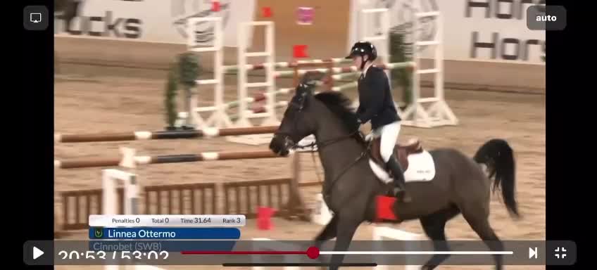 Hoppning hästar till salu: Lovande hopphäst med kapacitet - Video 1