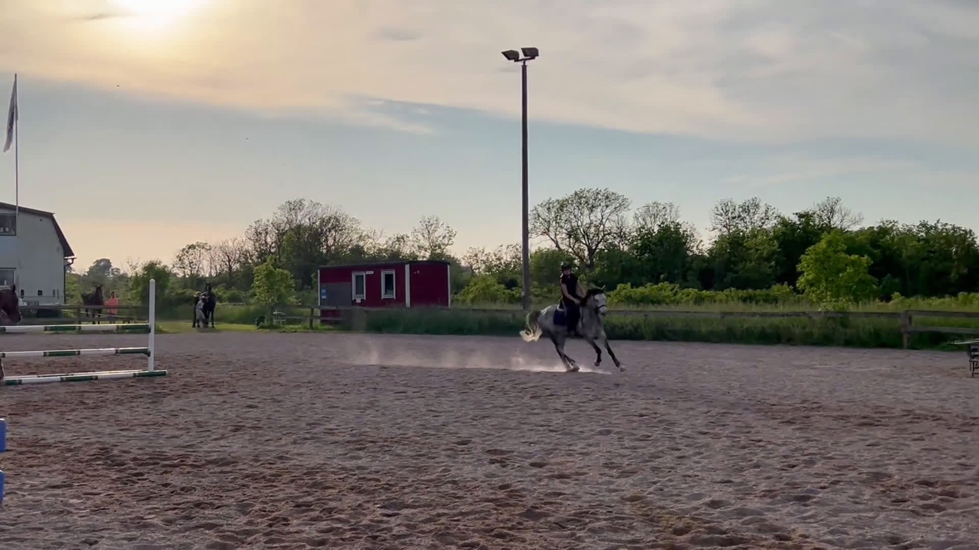 Hoppning hästar till salu: Fantastisk ponny på alla sätt! i Kalmar - Video 2
