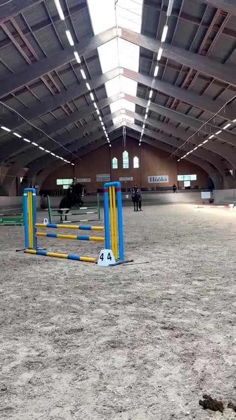  medryttarhäst sökes: Söker medryttarhäst  i Flyinge - Video 3