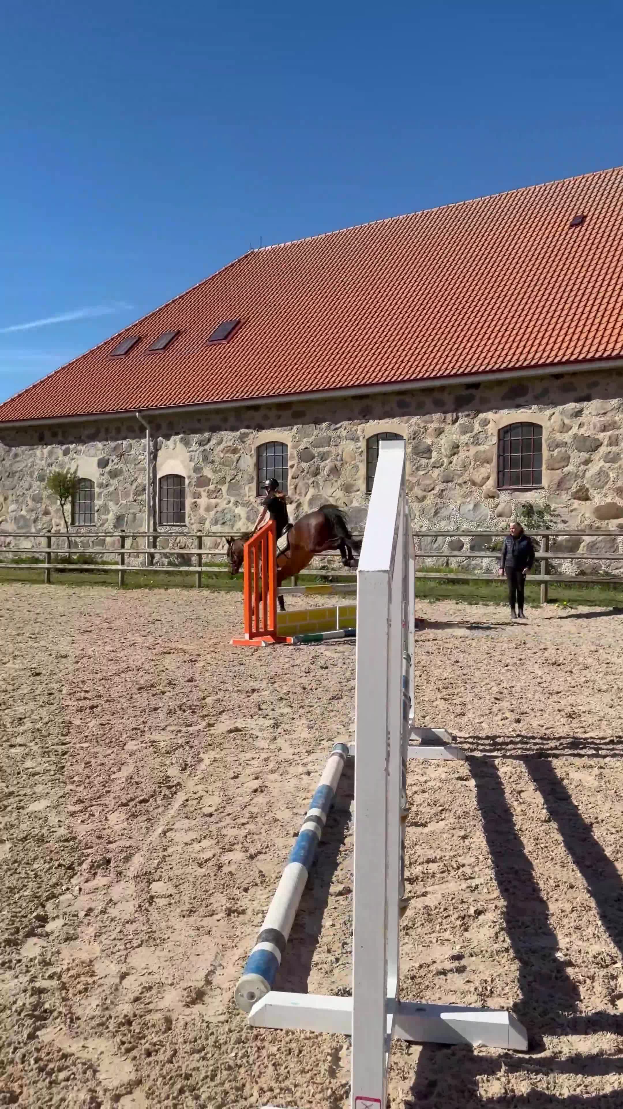 Allround hästar till salu: Positiv D-ponny!  i Simrishamn - Video 2
