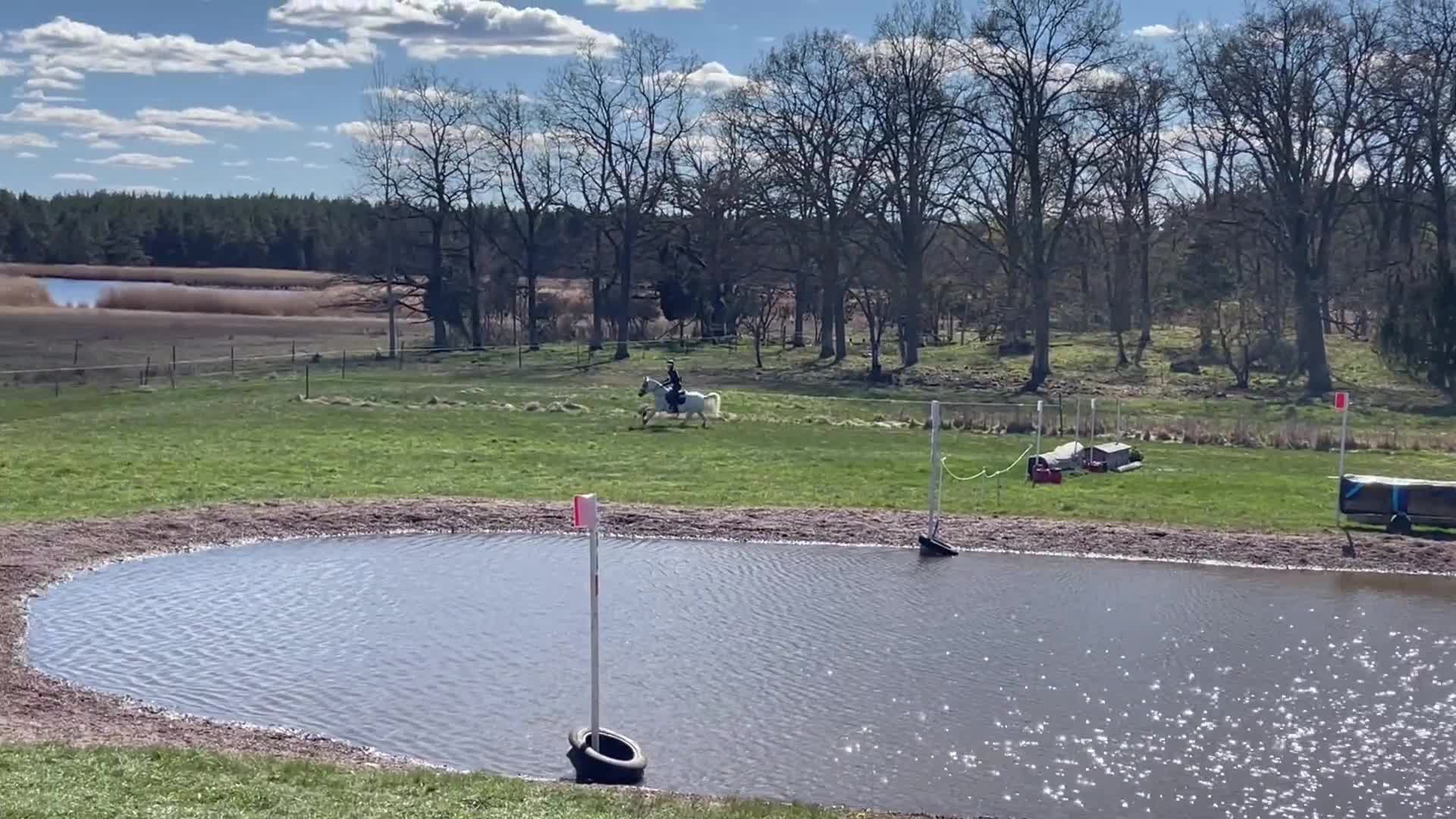 Fälttävlan hästar till salu: Rolig allroundponny - Video 3