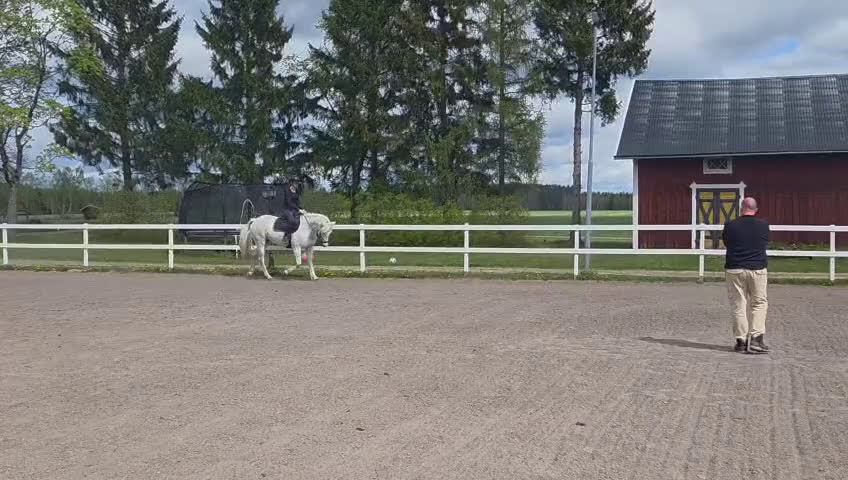 Hoppning hästar till salu: Supersöt D-ponny!❤️ - Video 2