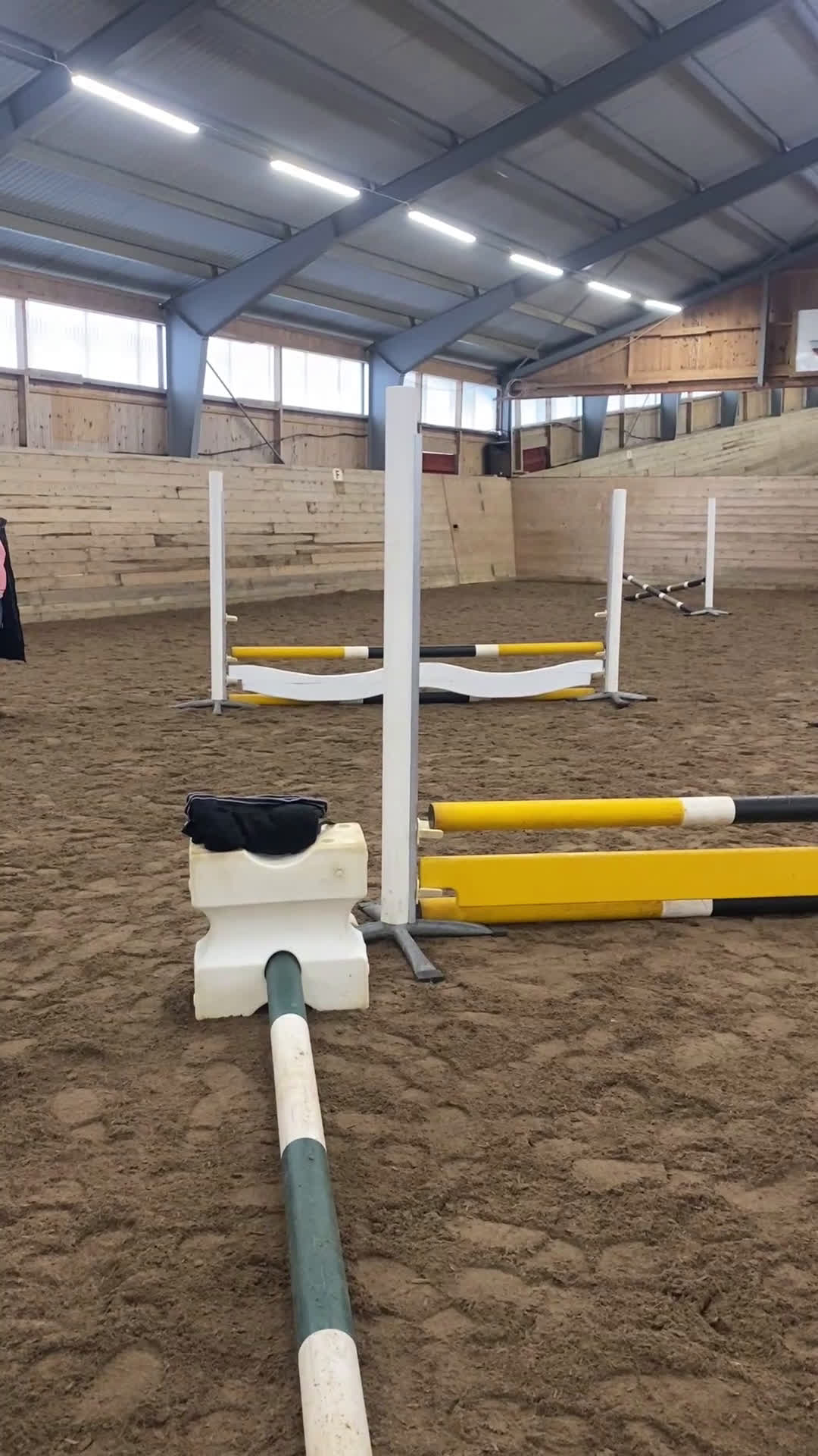  medryttarhäst sökes: Medryttarhäst Sökes - Video 4