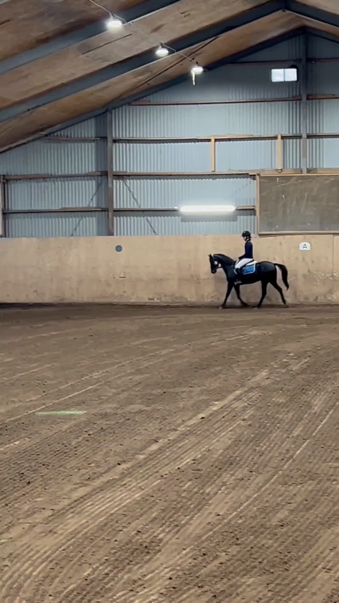 Allround hästar till salu: Supersnäll och vacker maxad b-ponny i Mölndal - Video 1