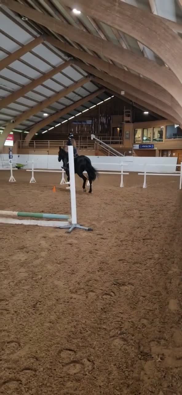Hoppning hästar sökes: Söker häst att köpa till sommaren i Avesta - Video 3