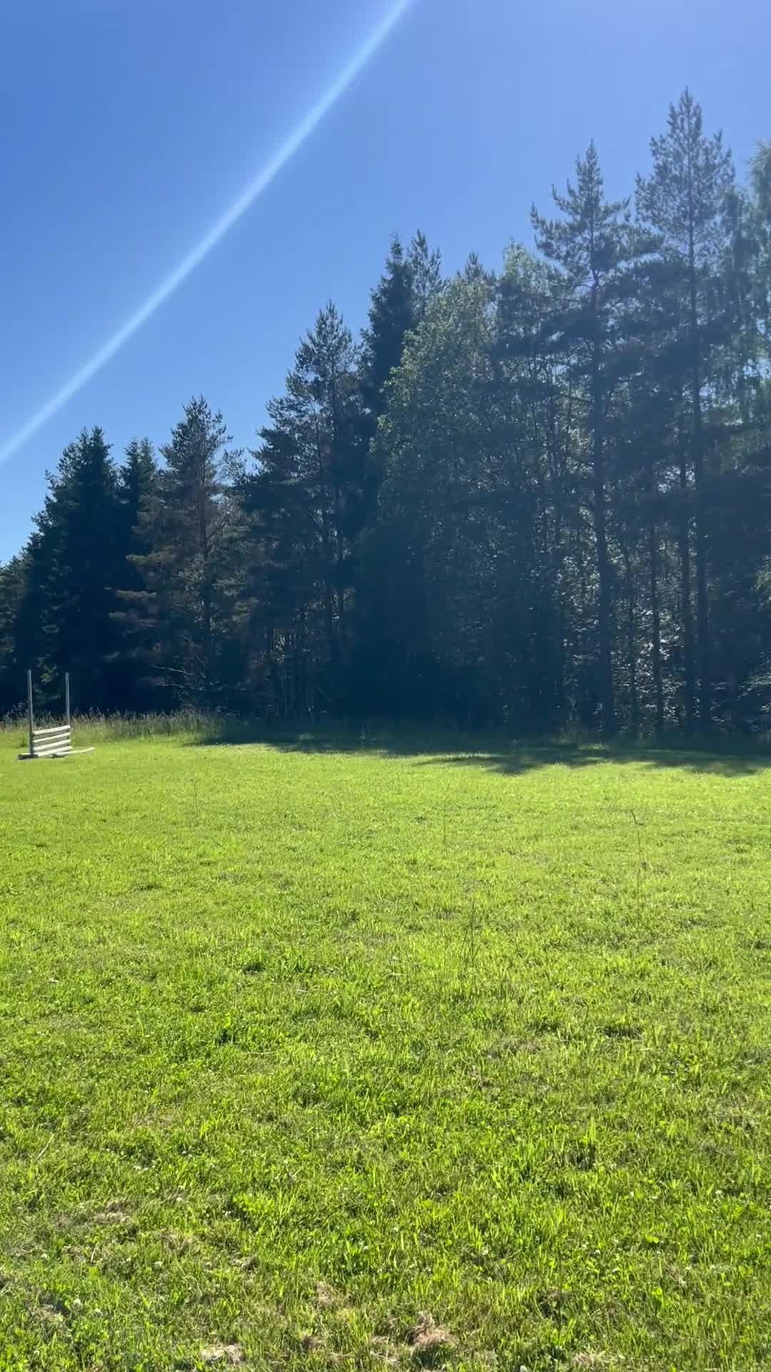 Allround hästar sökes: Kärleksfullt hem söker B och C-ponny ❤️ - Video 1