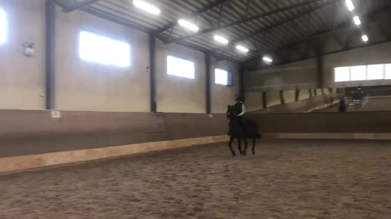 Allround hästar till salu: Mor/dotter häst i Nässjö - Video 2