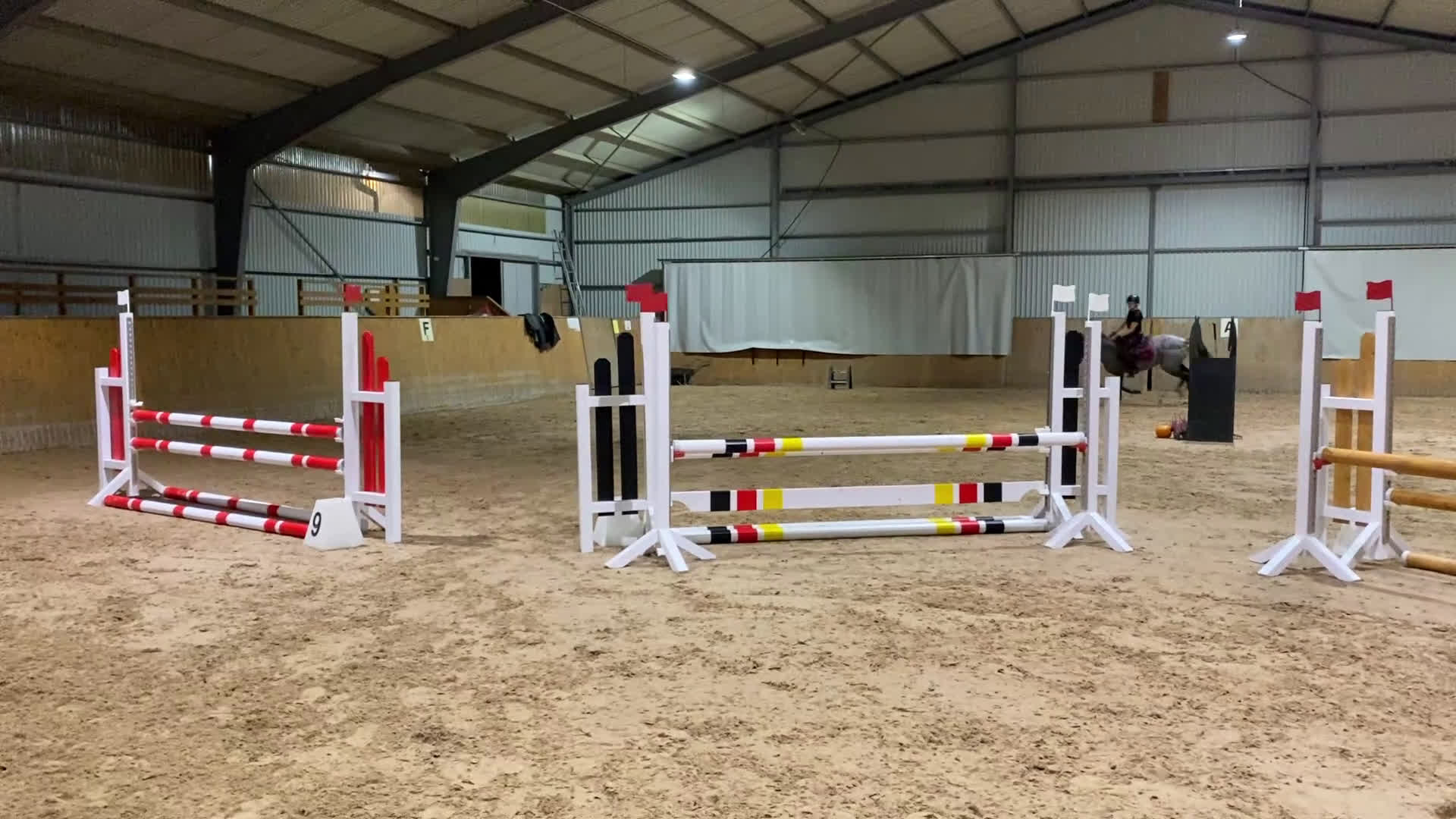 Allround hästar till salu: Superfint C-ponny sto - Video 1