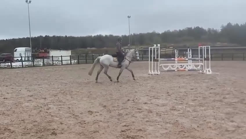 Hoppning hästar till salu: Piggt D ponny sto - Video 3