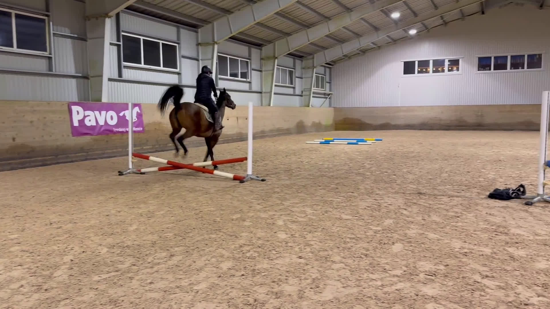 Allround hästar till salu: RESERVERAD- Världens bästa unghäst söker hem - Video 3
